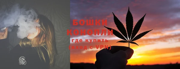 ПСИЛОЦИБИНОВЫЕ ГРИБЫ Вязники